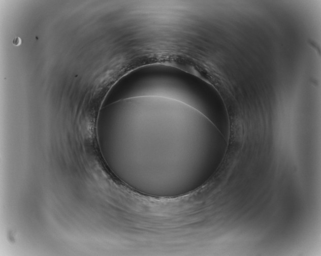 X0000099520039200805151536