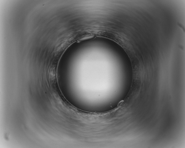 X0000099520040200805151536