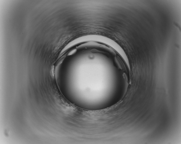 X0000099520041200805151536