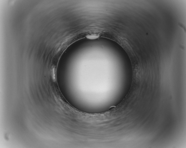 X0000099520042200805151536