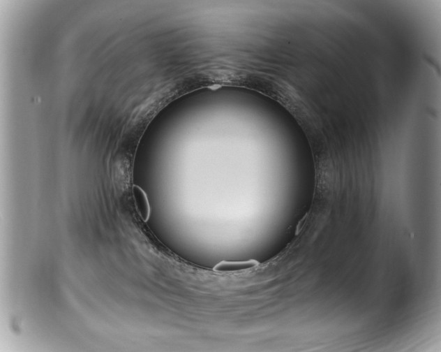 X0000099520043200805151536