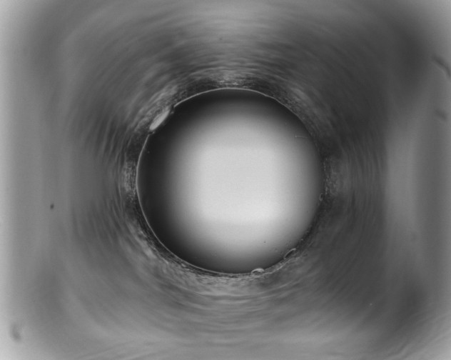 X0000099520044200805151536