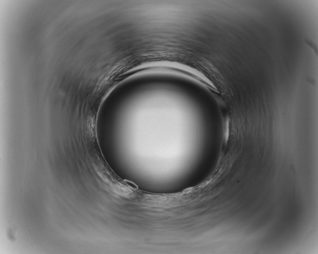 X0000099520045200805151536