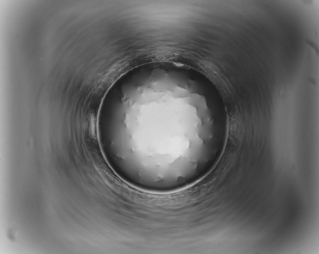X0000099520046200805151536
