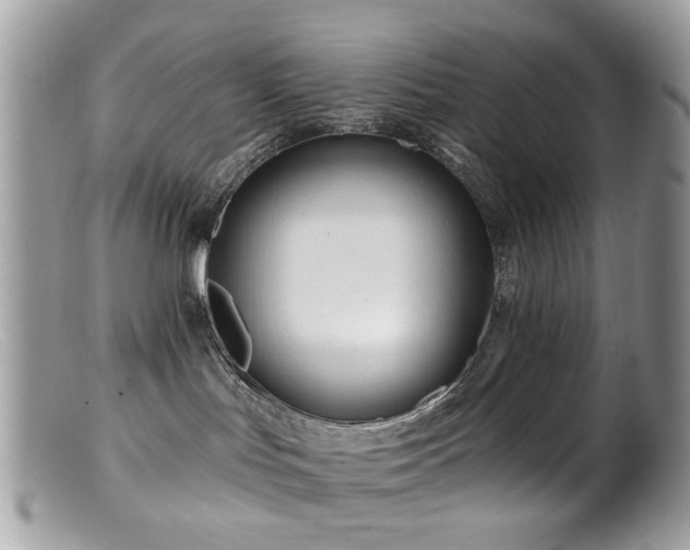 X0000099520047200805151536