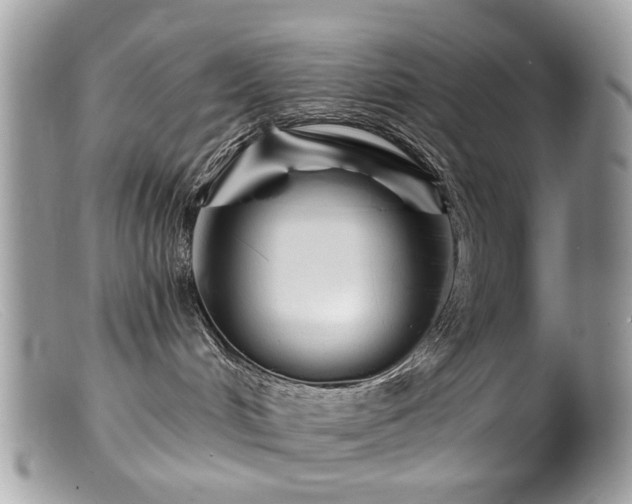 X0000099520048200805151536