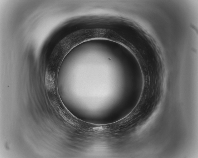 X0000099520050200805151535