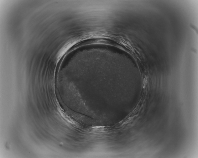 X0000099520052200805151535
