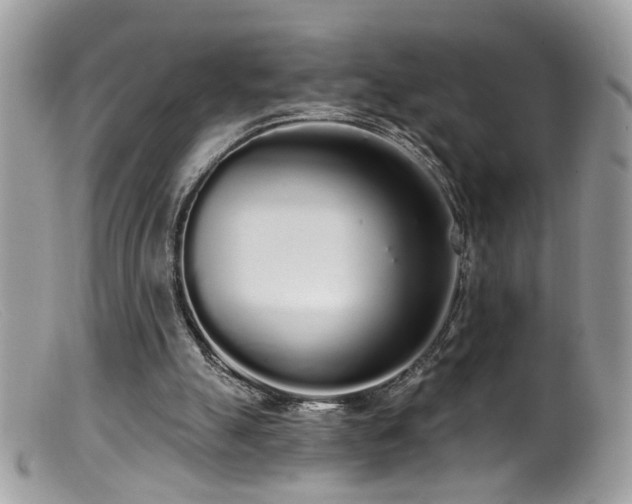 X0000099520055200805151535