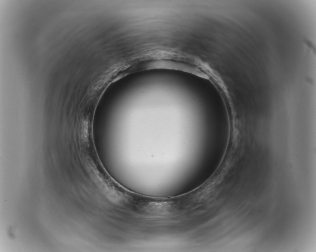 X0000099520057200805151535
