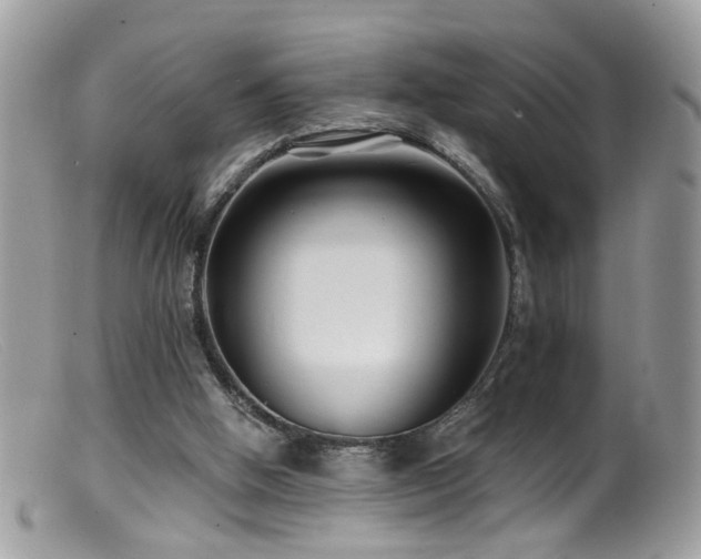 X0000099520058200805151535