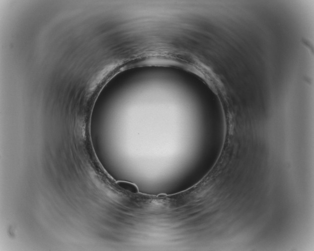 X0000099520060200805151535
