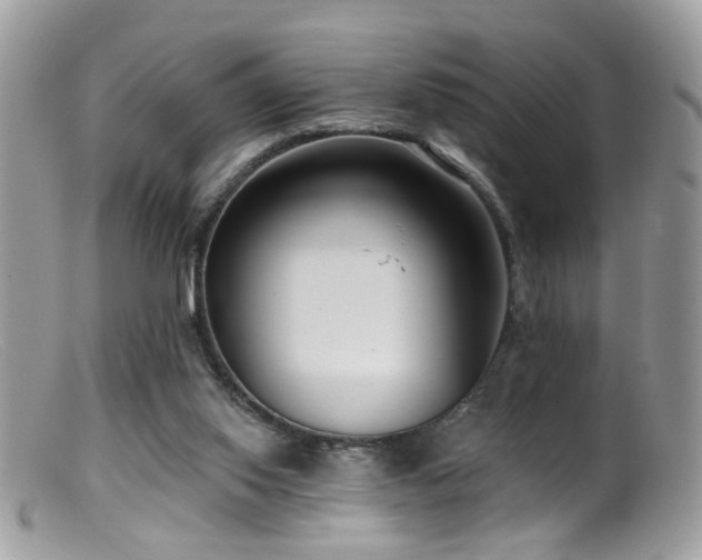 X0000099520062200805151535