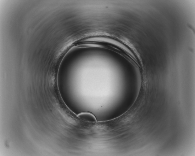 X0000099520063200805151535