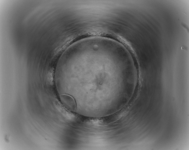 X0000099520065200805151535