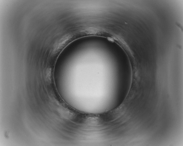 X0000099520066200805151535