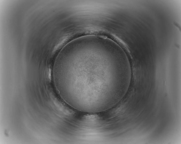 X0000099520067200805151536