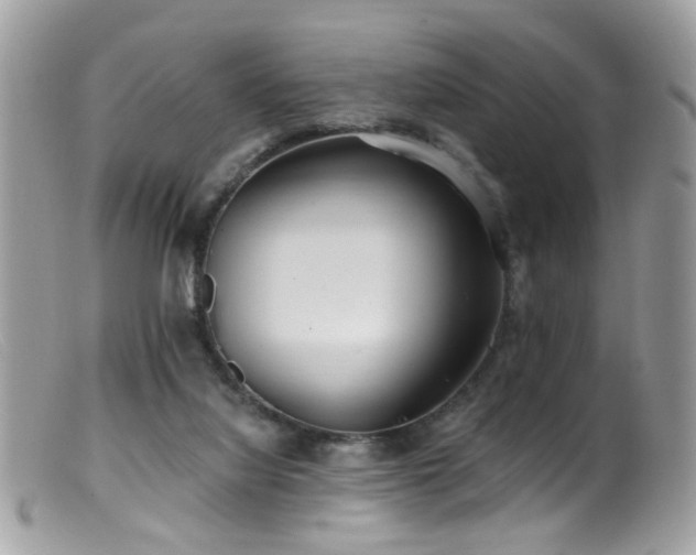 X0000099520068200805151536