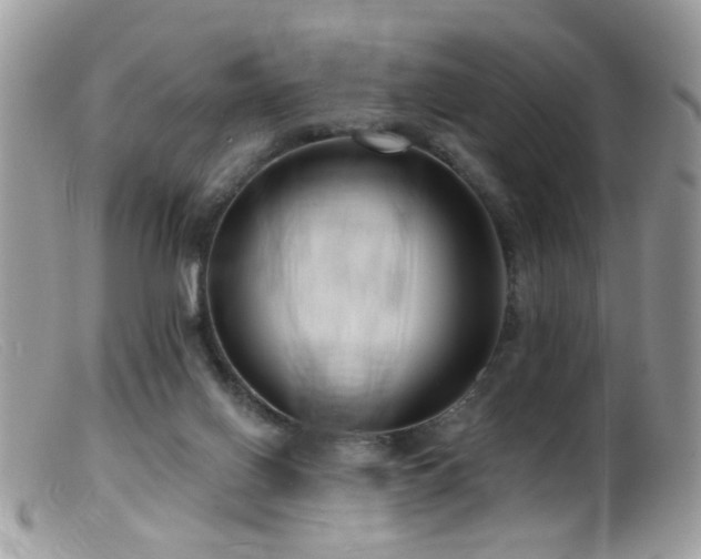 X0000099520070200805151536