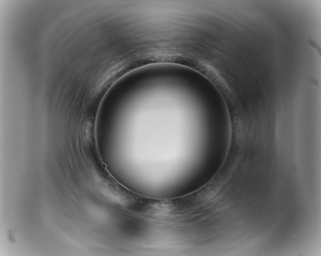 X0000099520071200805151536