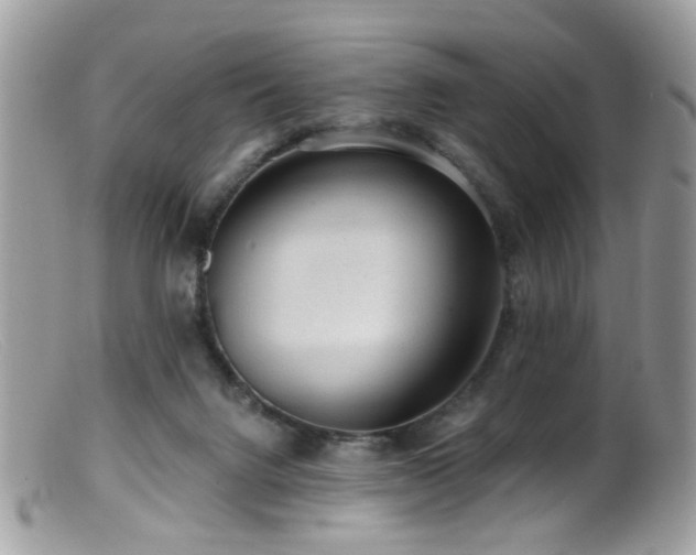 X0000099520072200805151536