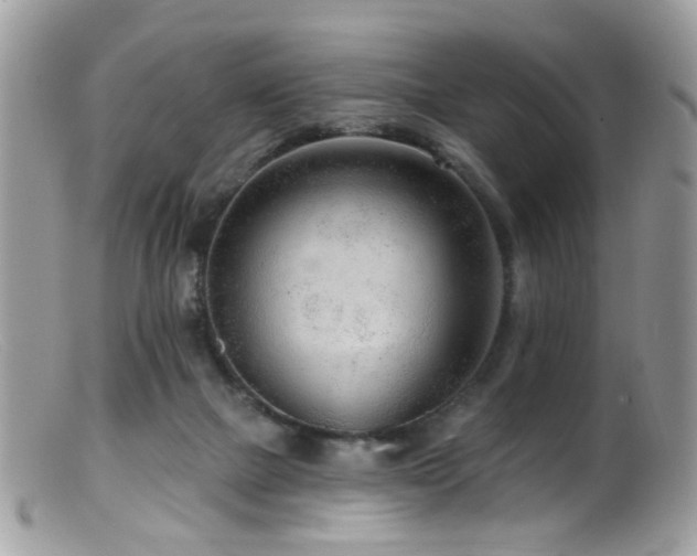 X0000099520073200805151536