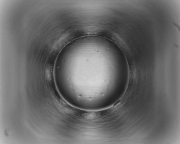 X0000099520074200805151536