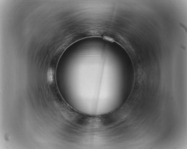 X0000099520075200805151536