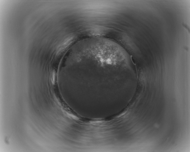 X0000099520076200805151536