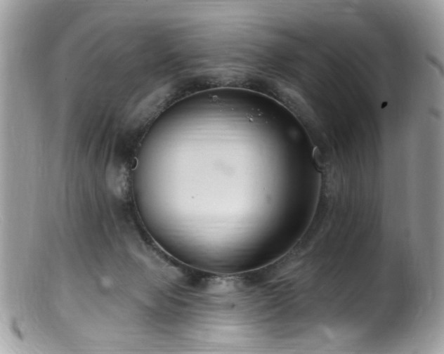 X0000099520077200805151536