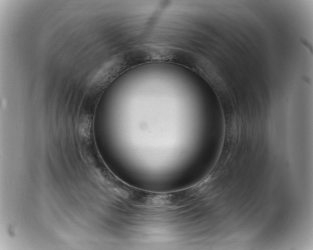 X0000099520078200805151536