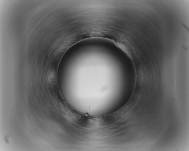 X0000099520079200805151536
