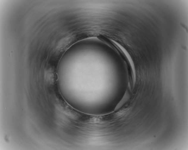X0000099520080200805151536