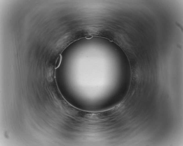X0000099520082200805151536