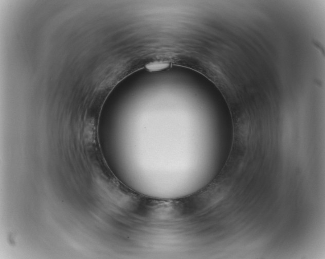 X0000099520083200805151536