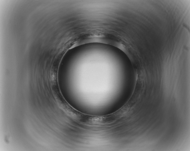 X0000099520084200805151536