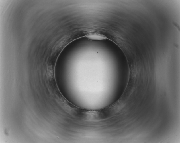 X0000099520085200805151536