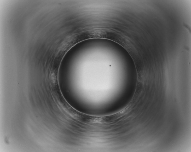 X0000099520086200805151536