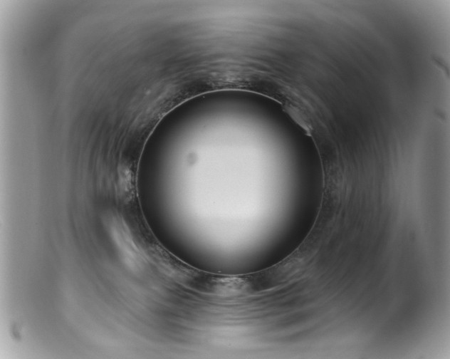 X0000099520087200805151536