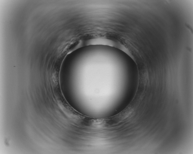 X0000099520088200805151536