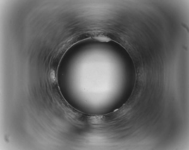 X0000099520089200805151536