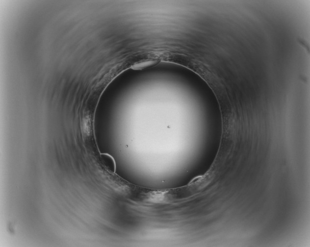 X0000099520090200805151536