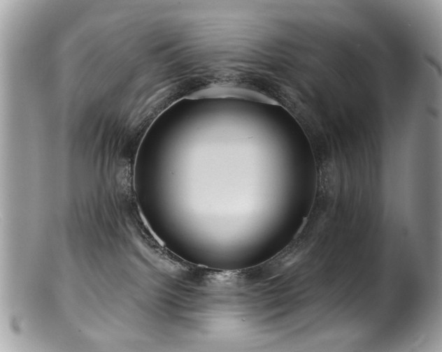 X0000099520092200805151536