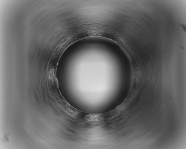 X0000099520093200805151536