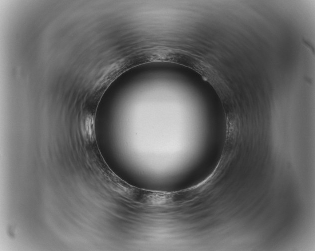 X0000099520094200805151536