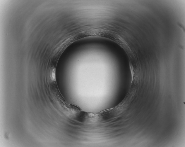 X0000099520095200805151536