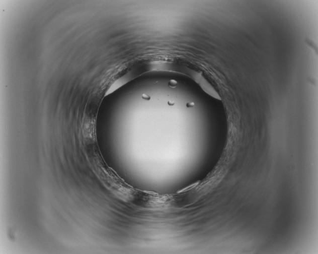 X0000099520096200805151536