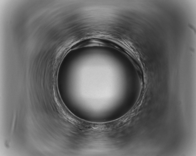 X0000099520097200805151535