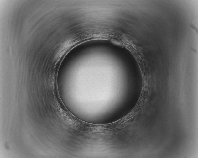 X0000099520098200805151535