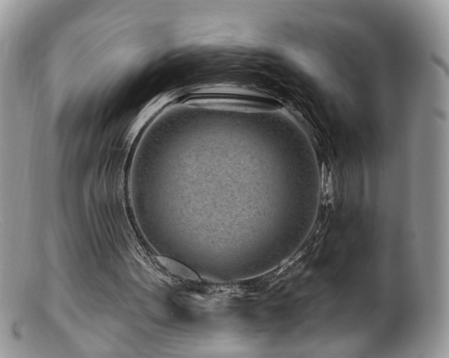 X0000099520099200805151535